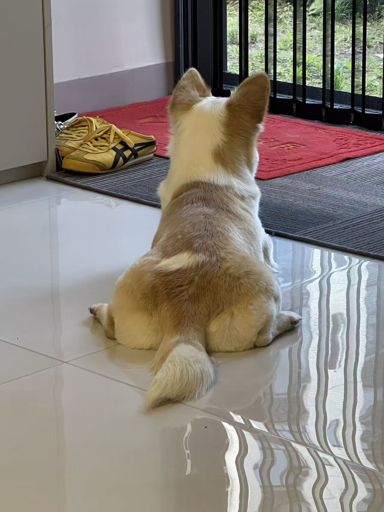 #