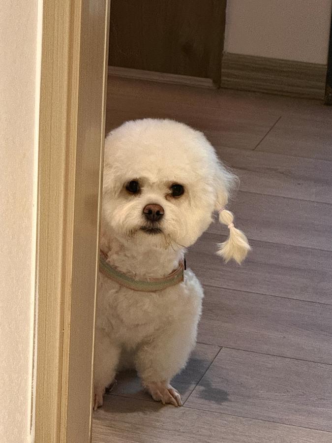 #