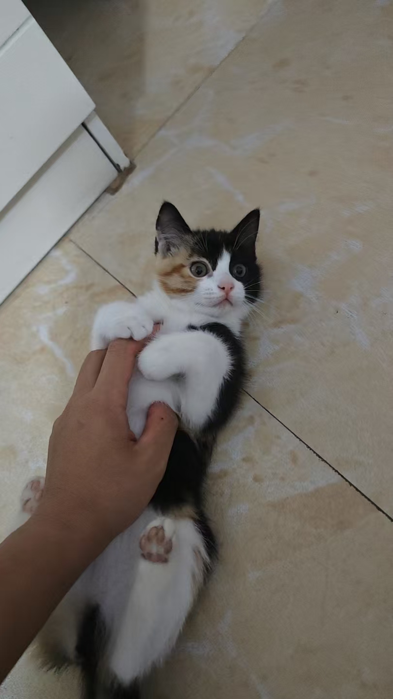 #