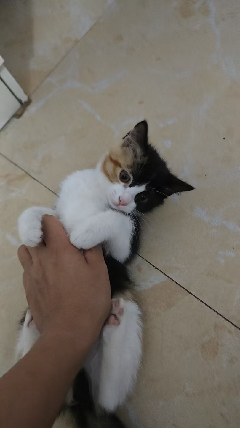 #