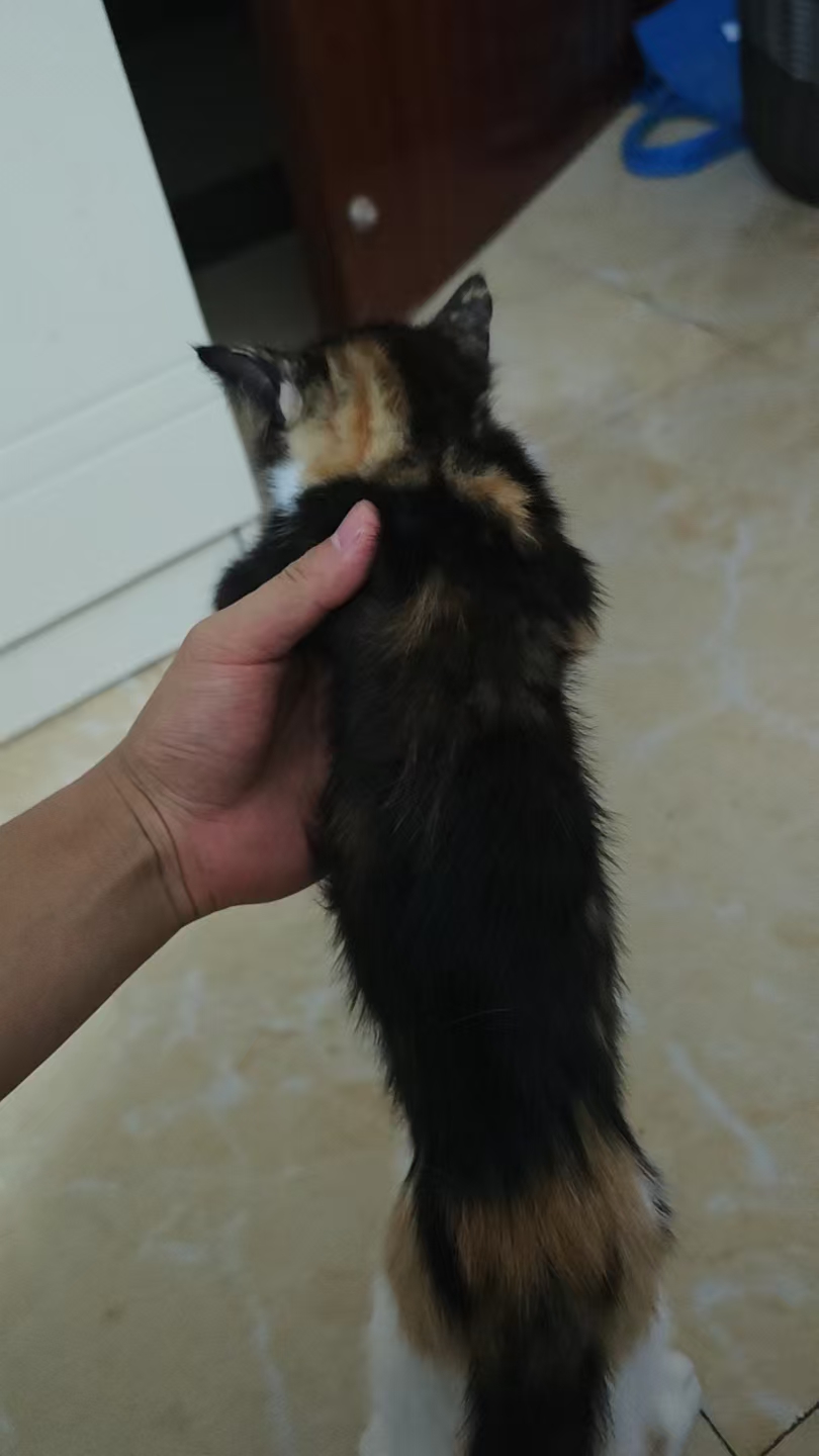#