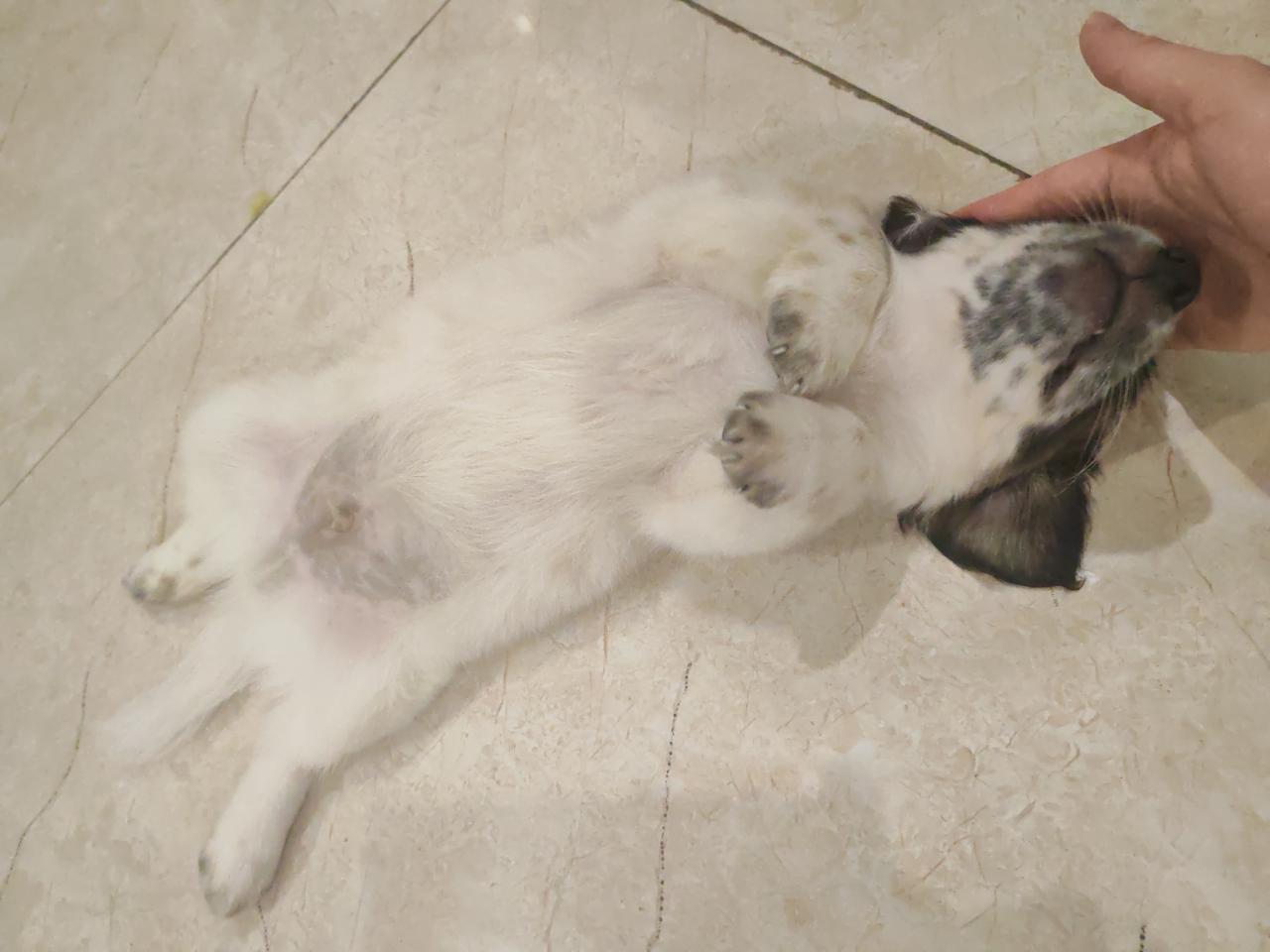 #