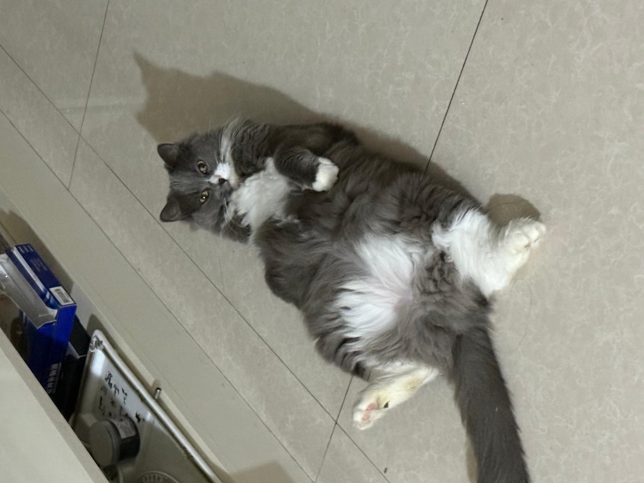 #