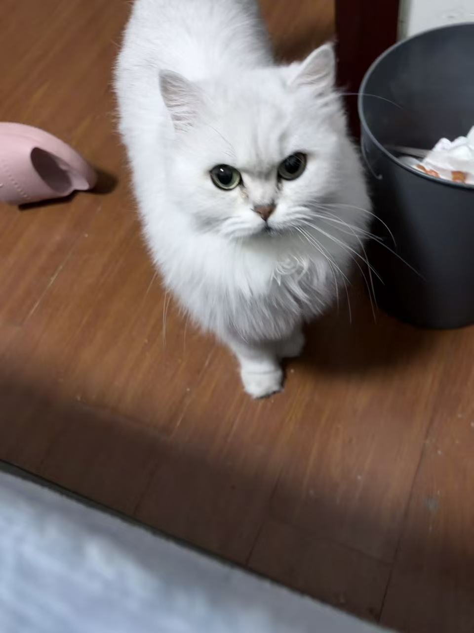 #