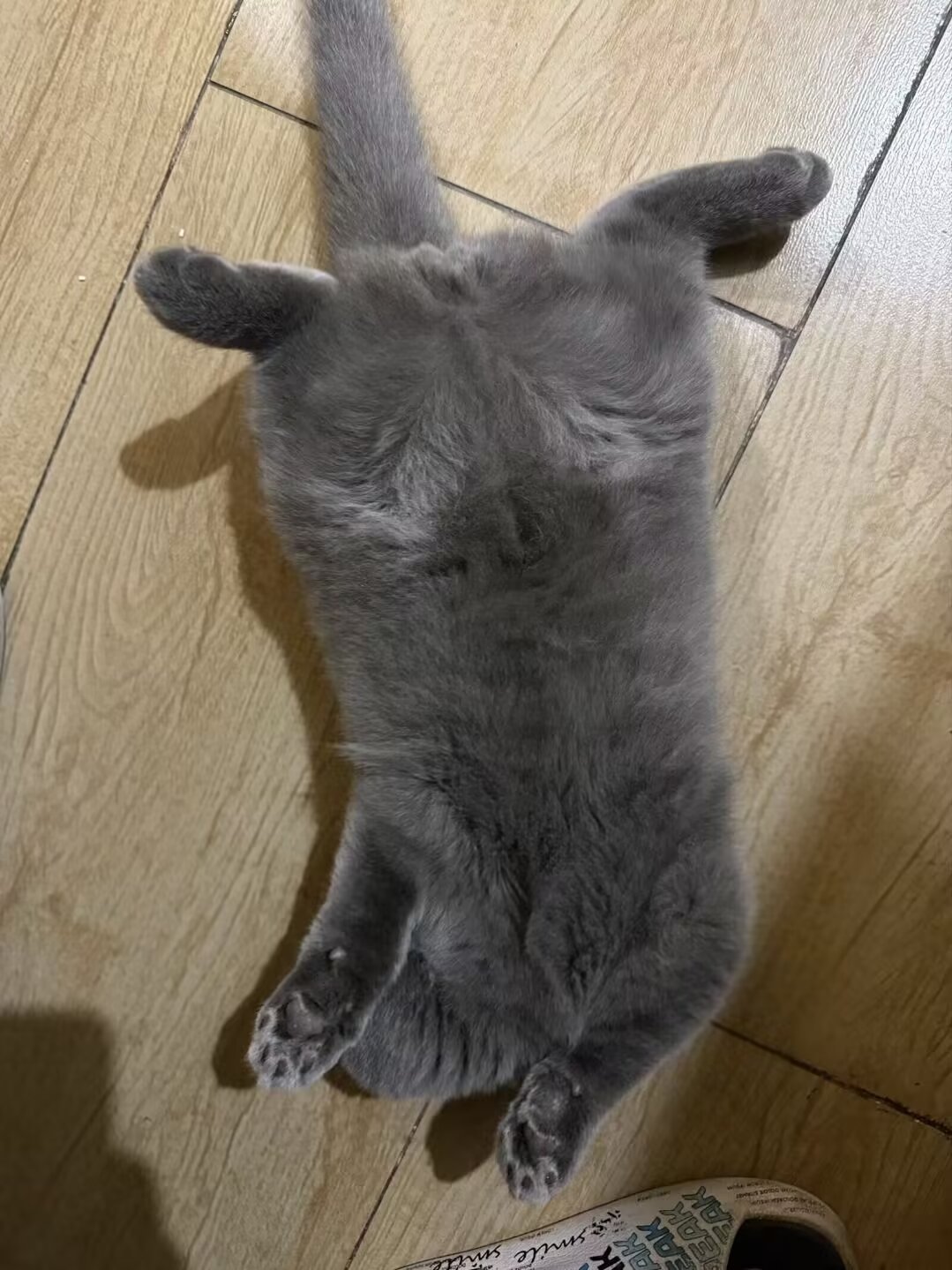 #