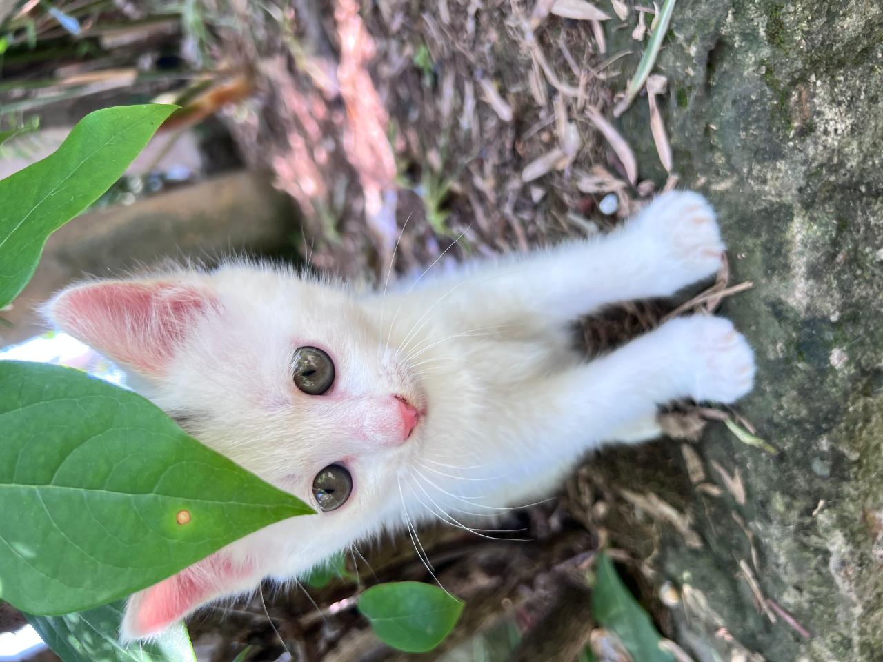#