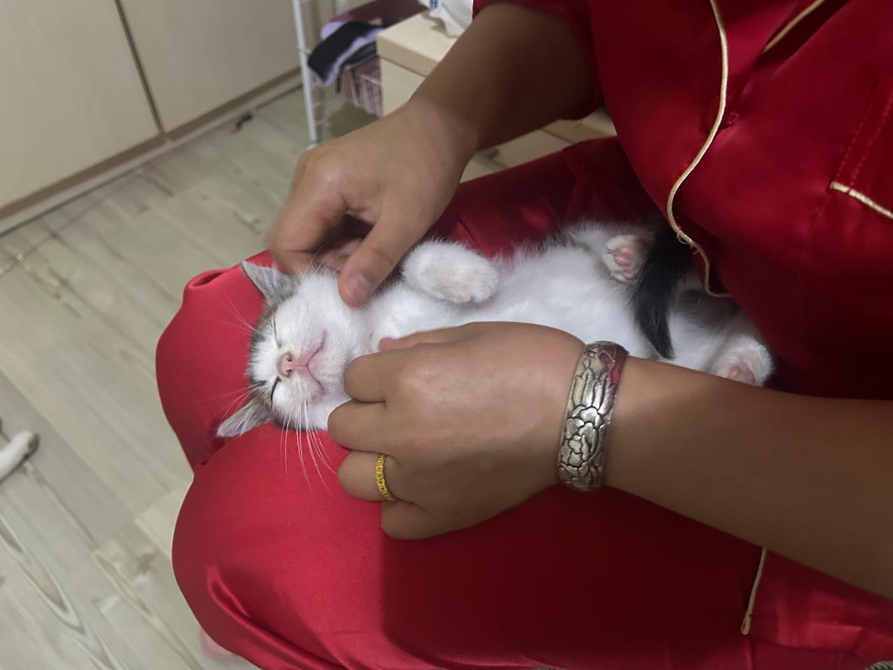 #