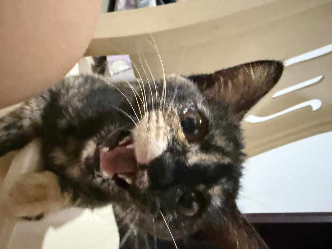 #