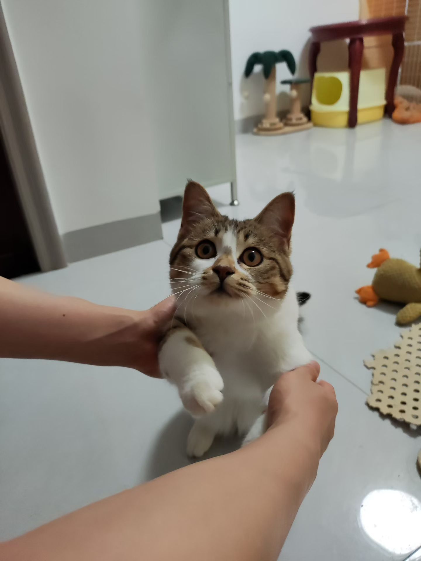 #
