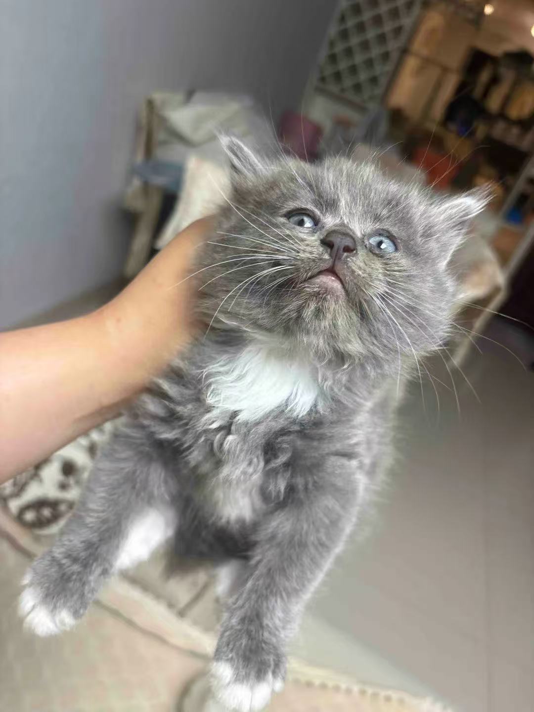 #