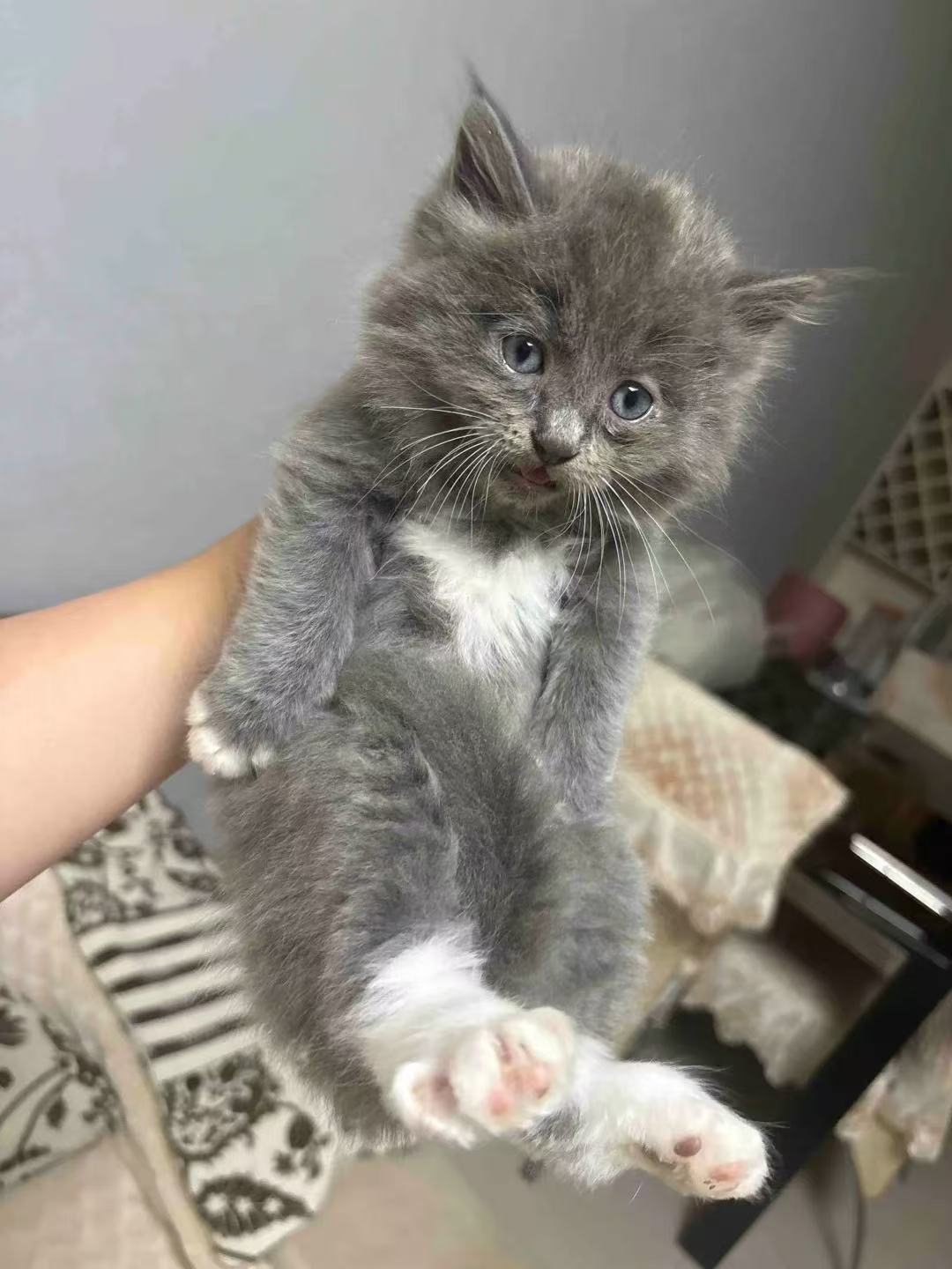 #