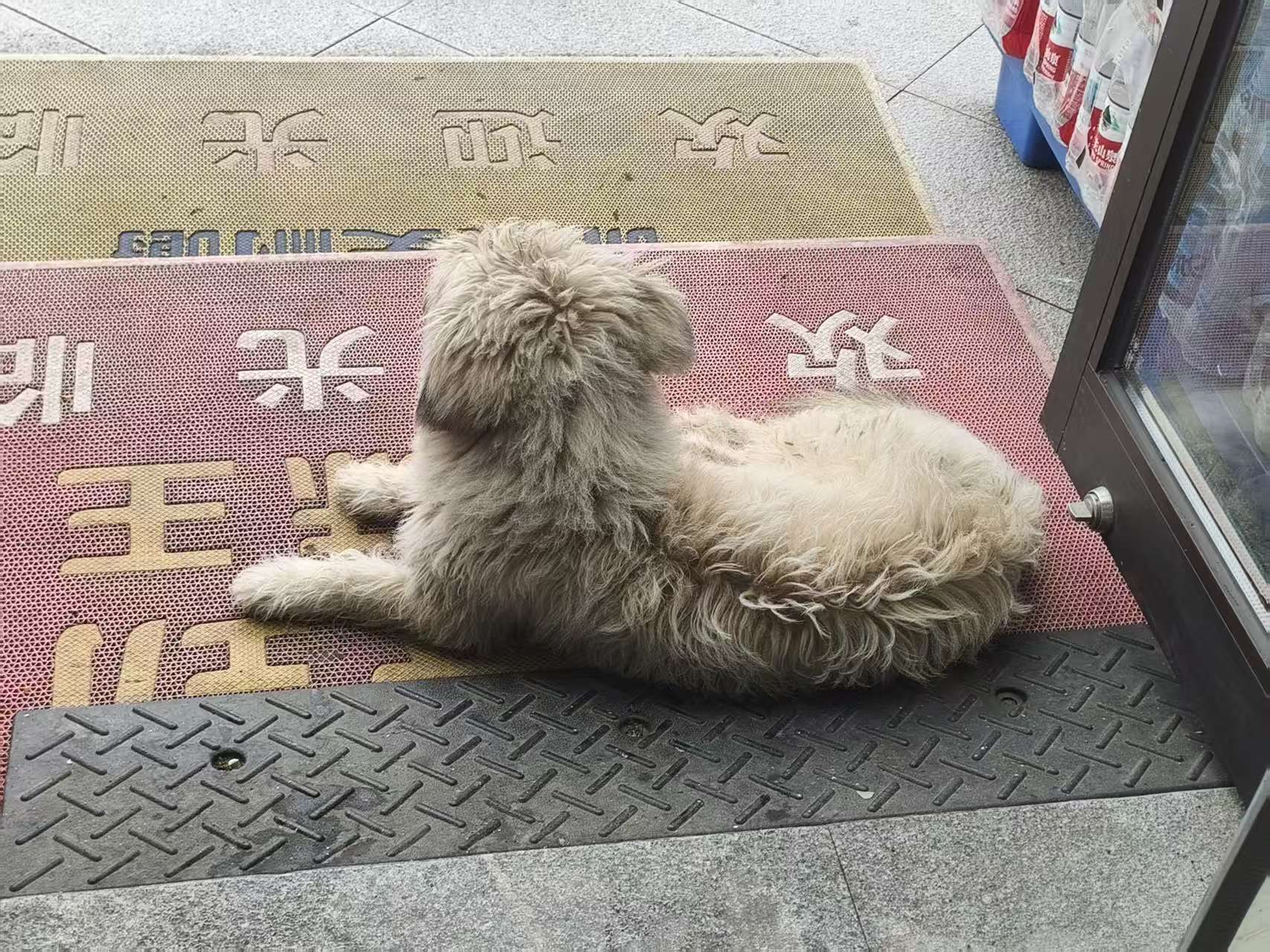 #