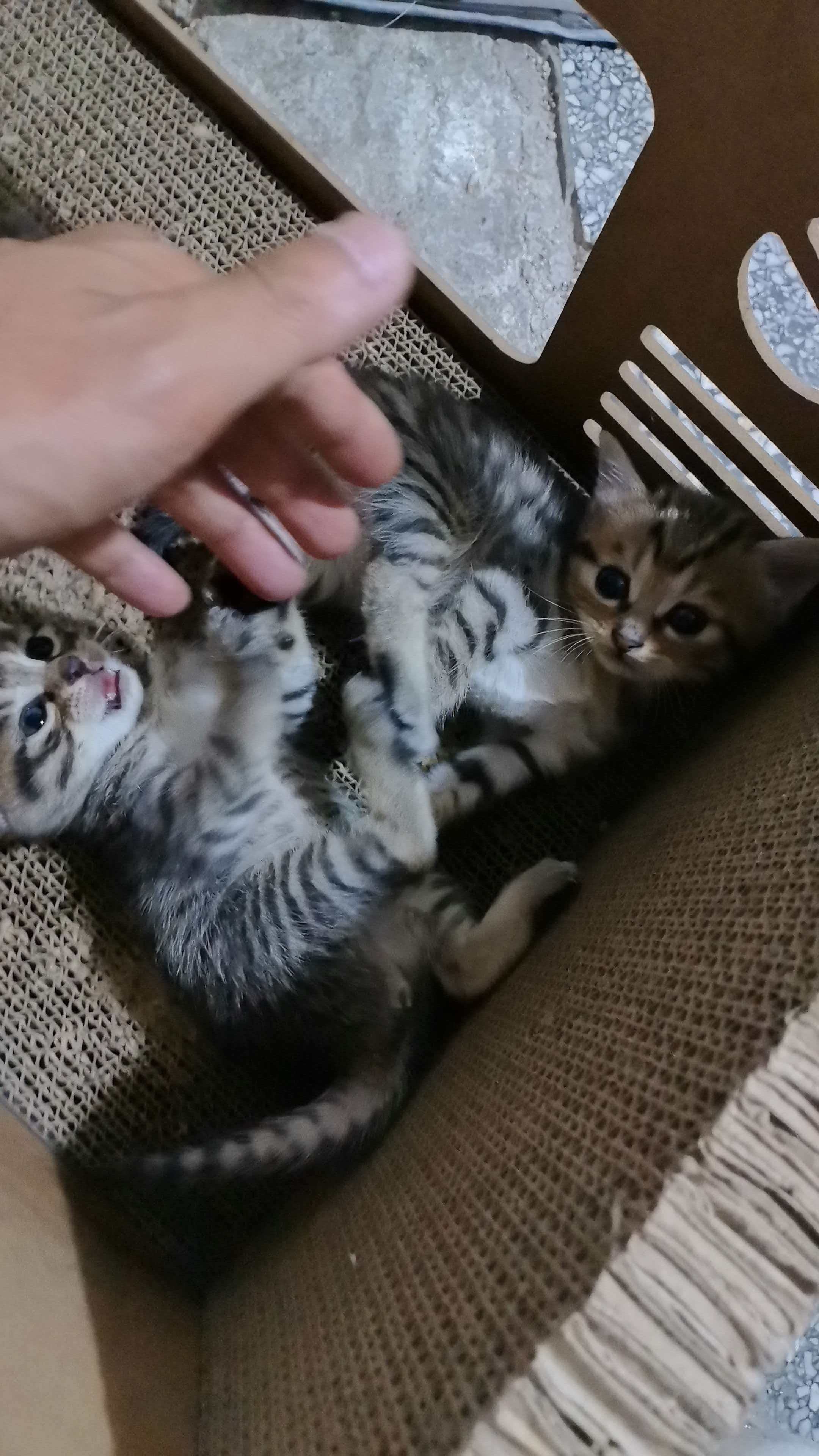 #