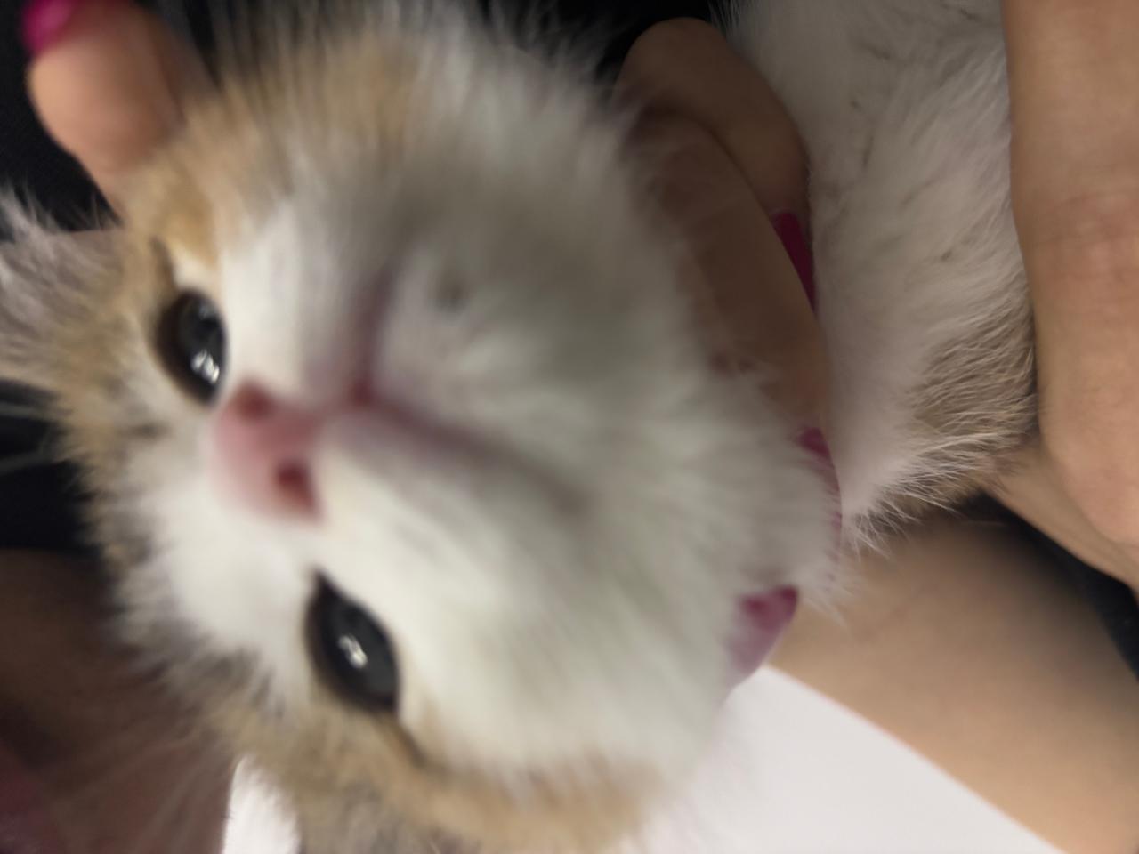 #