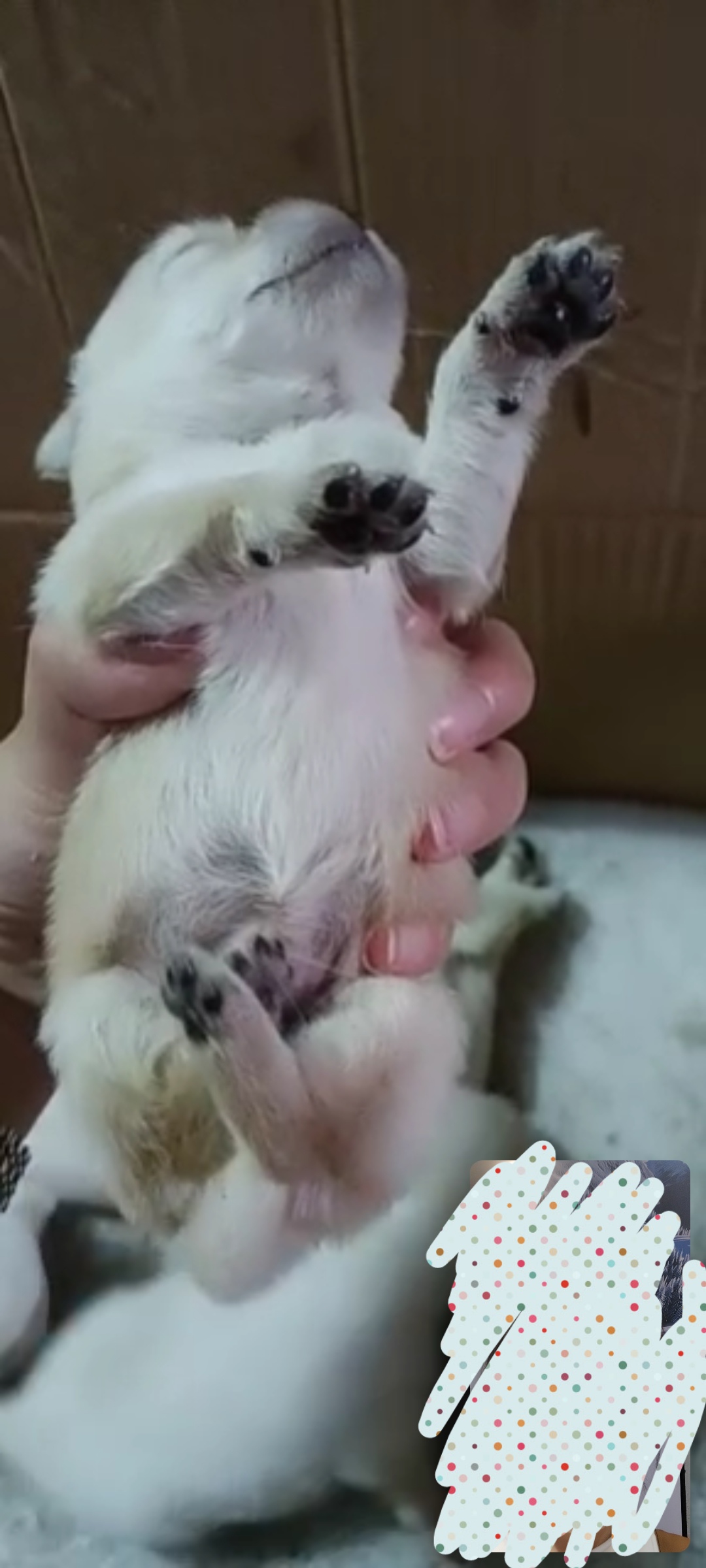 #