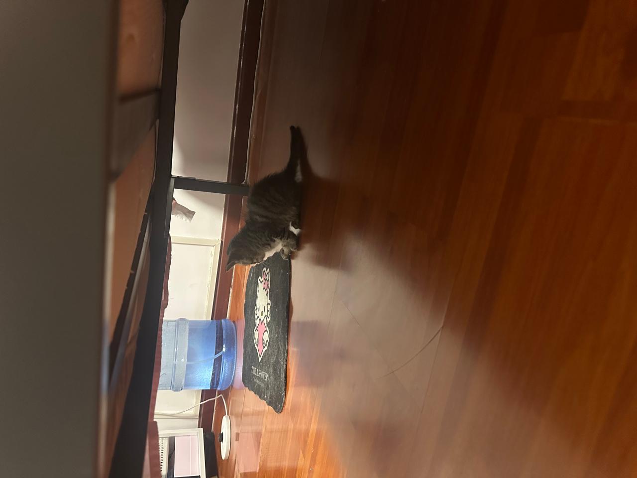 #