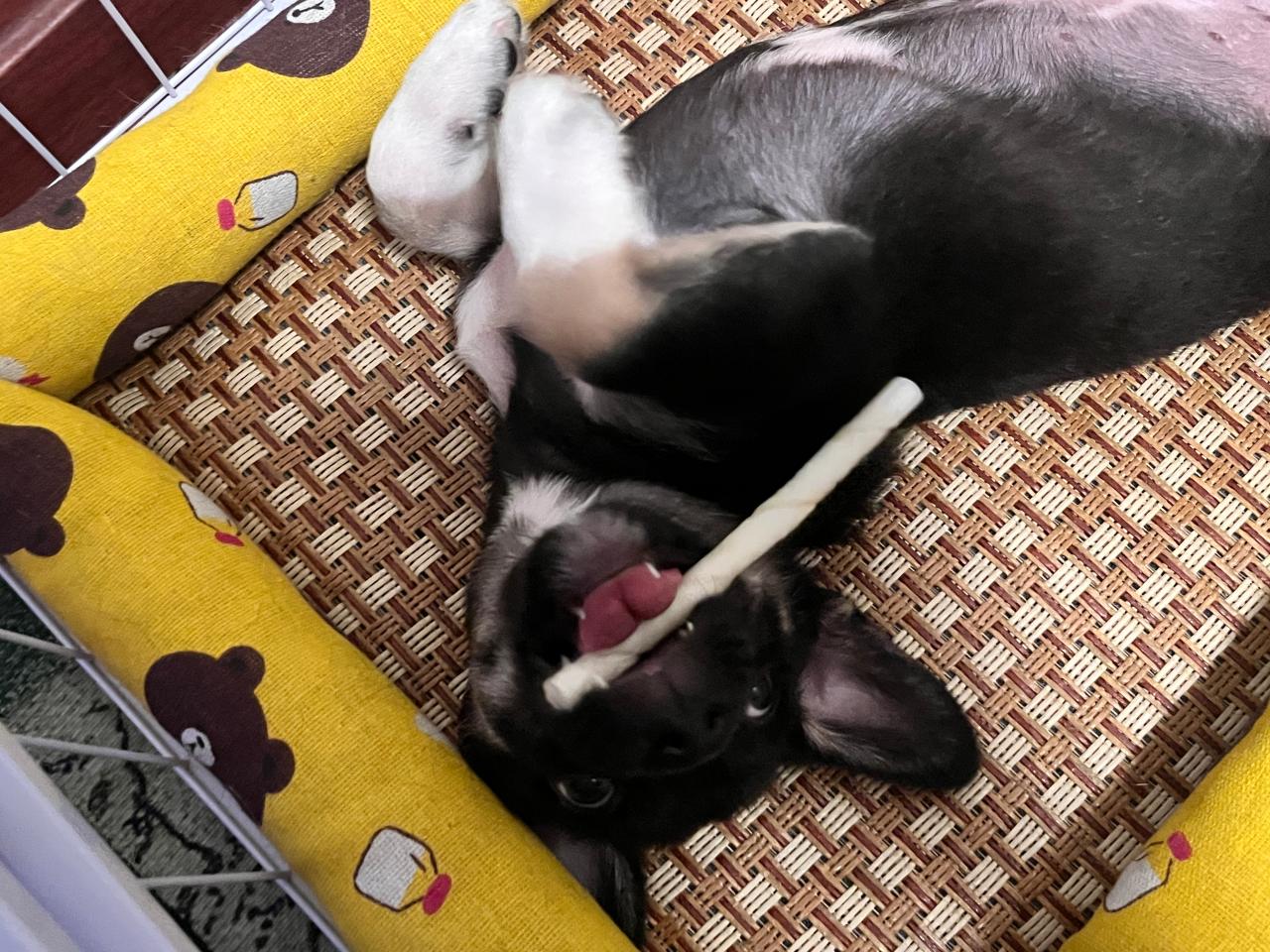 #