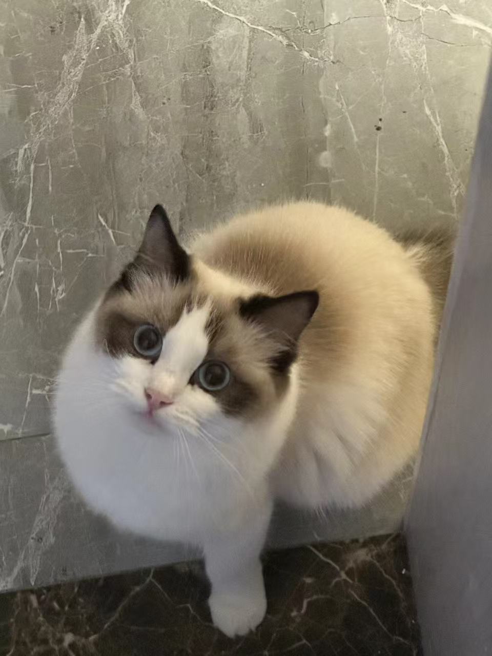 #