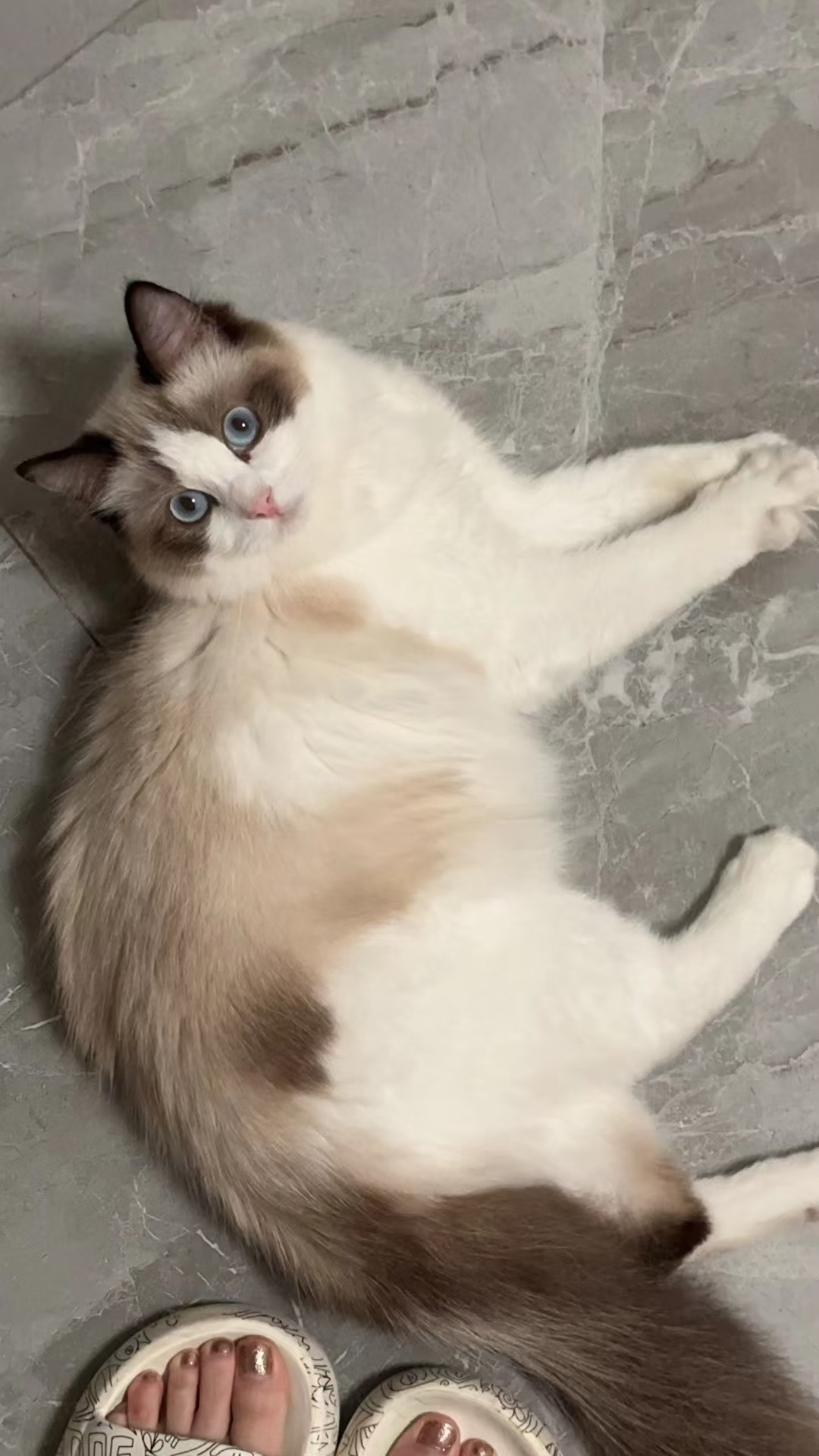 #