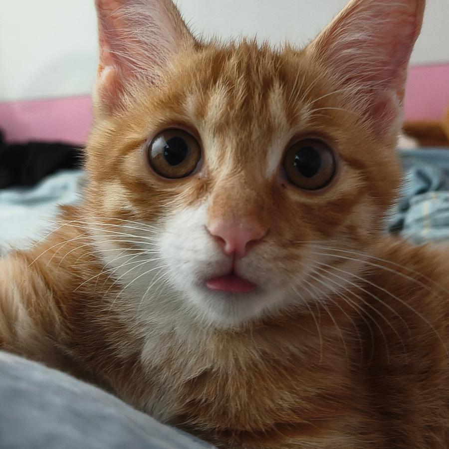 #