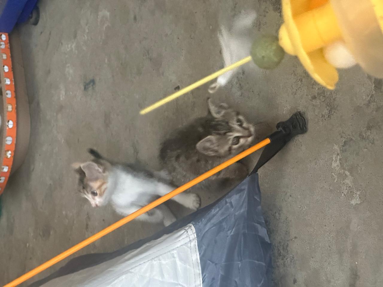 #