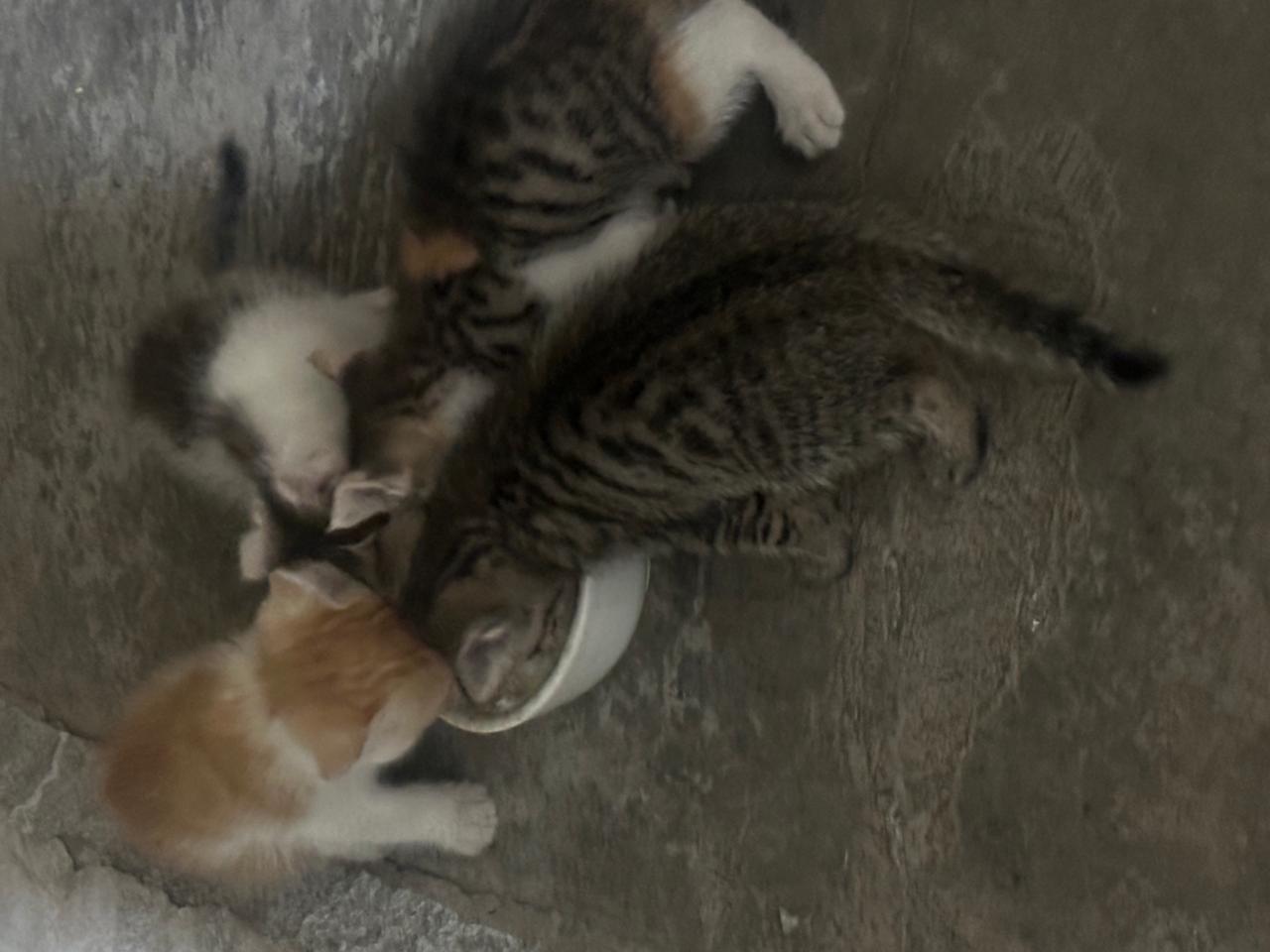 #