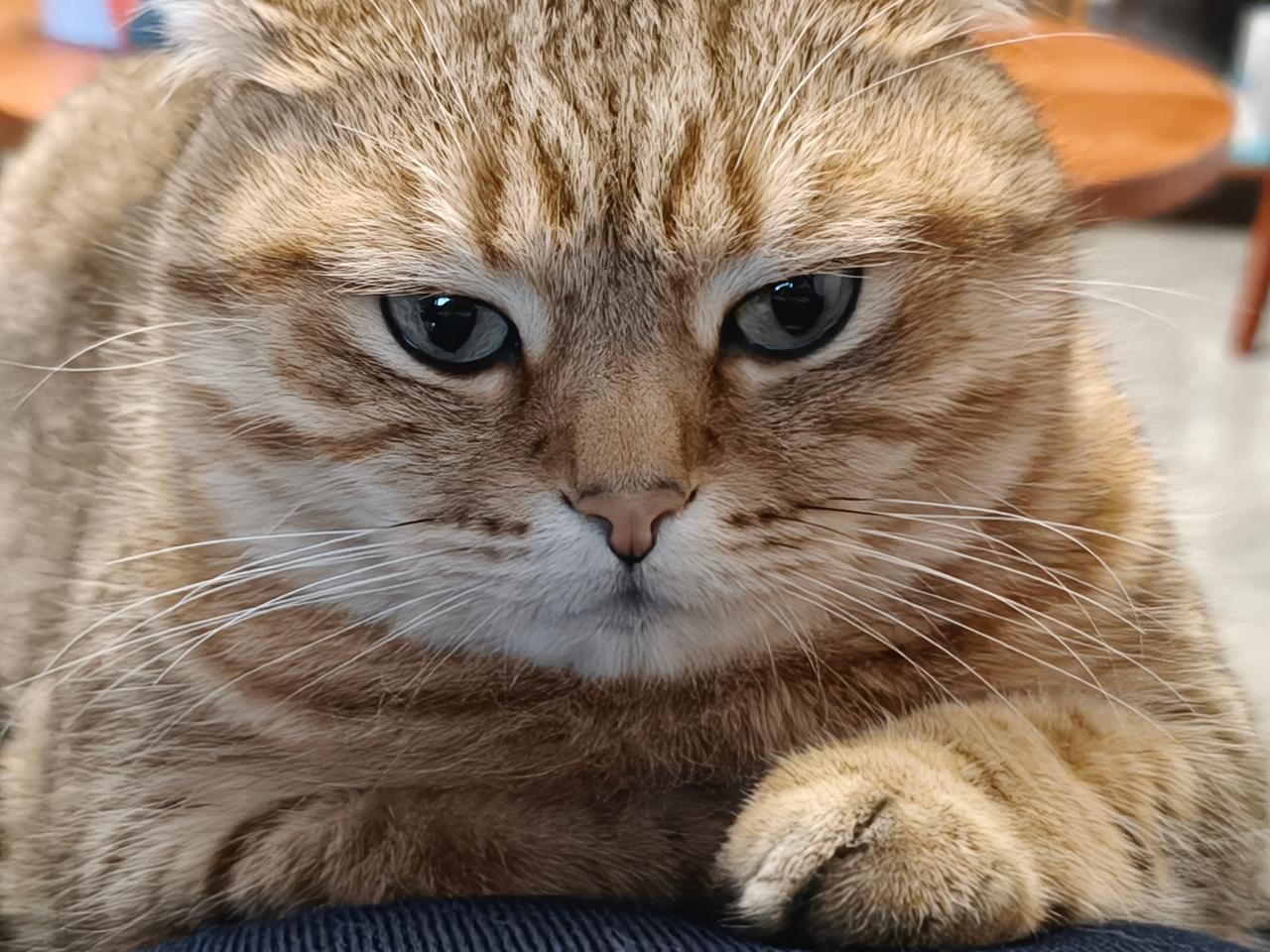 #