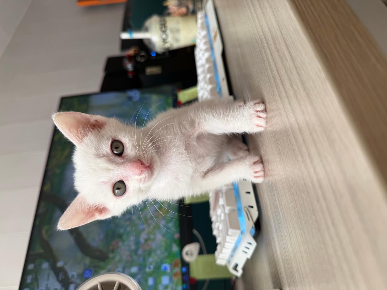 #