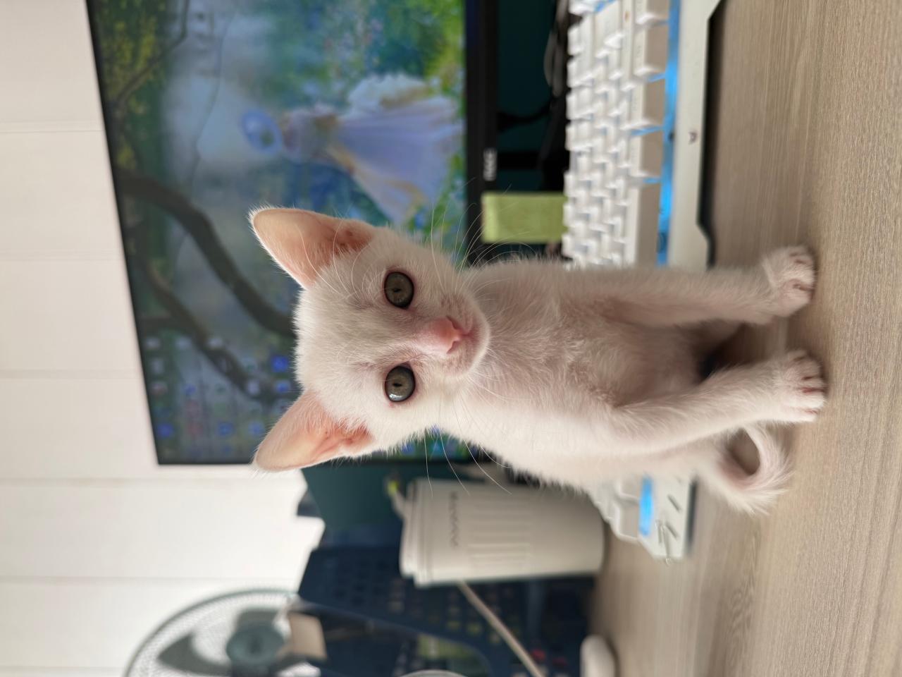 #
