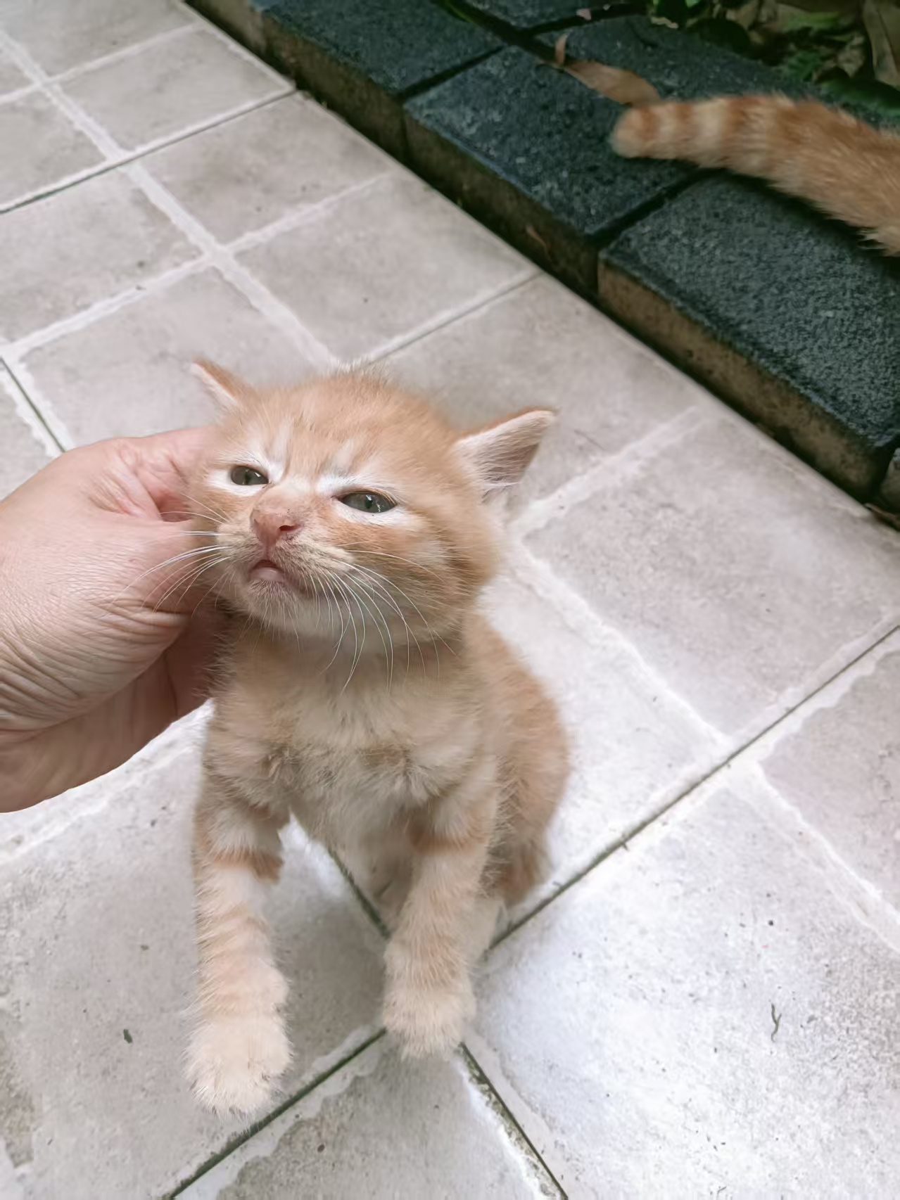 #