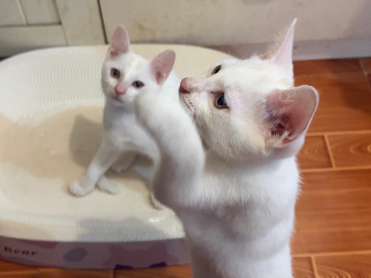 #