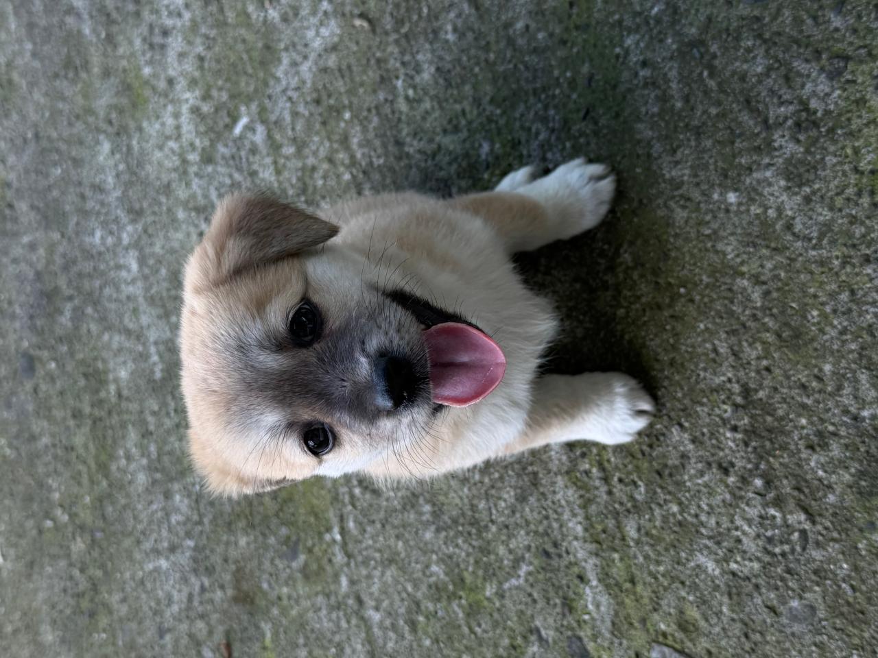 #