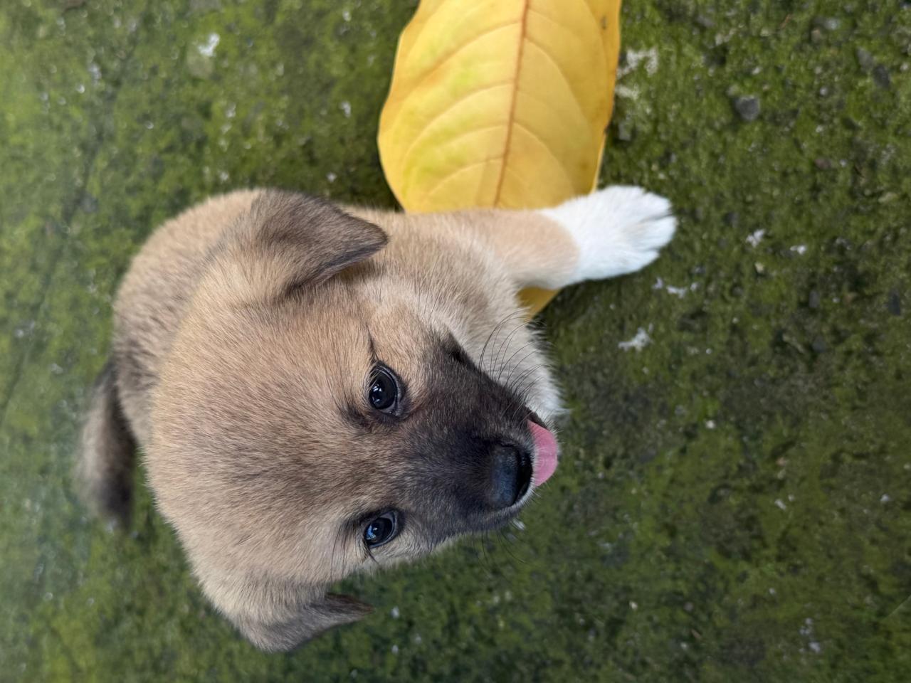 #