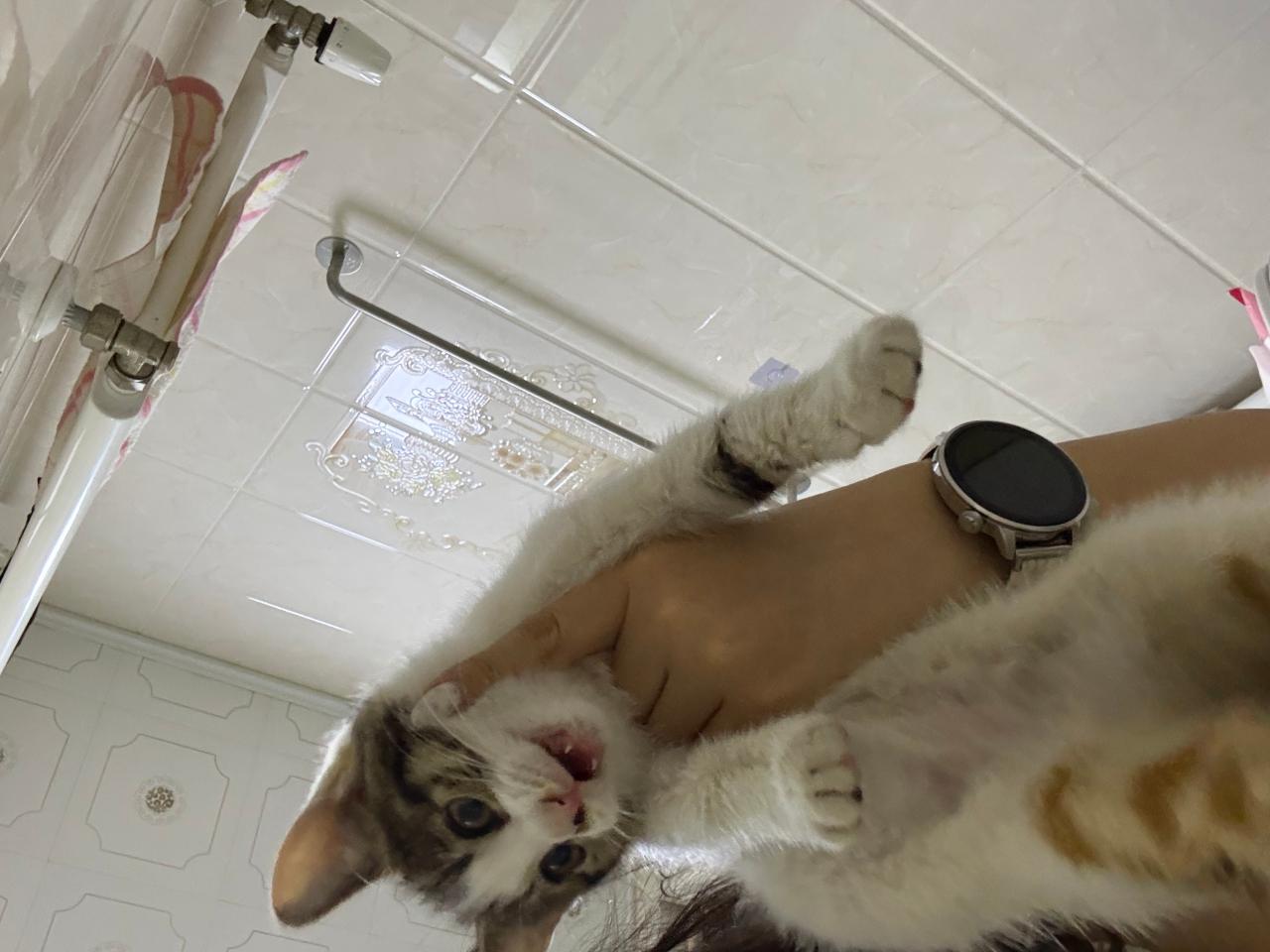 #