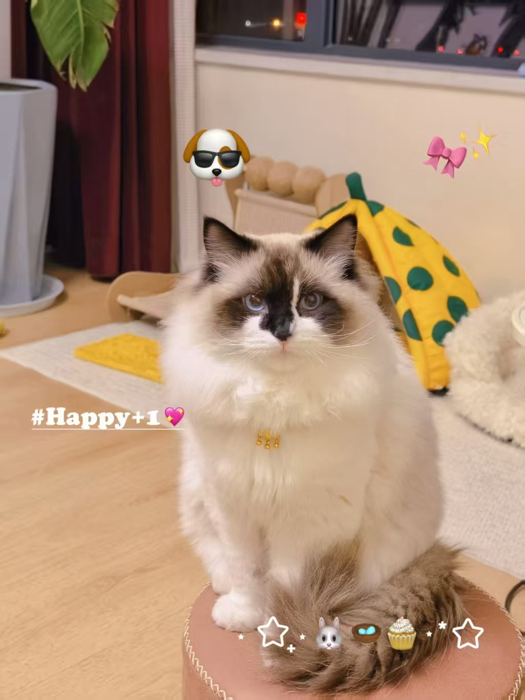 #
