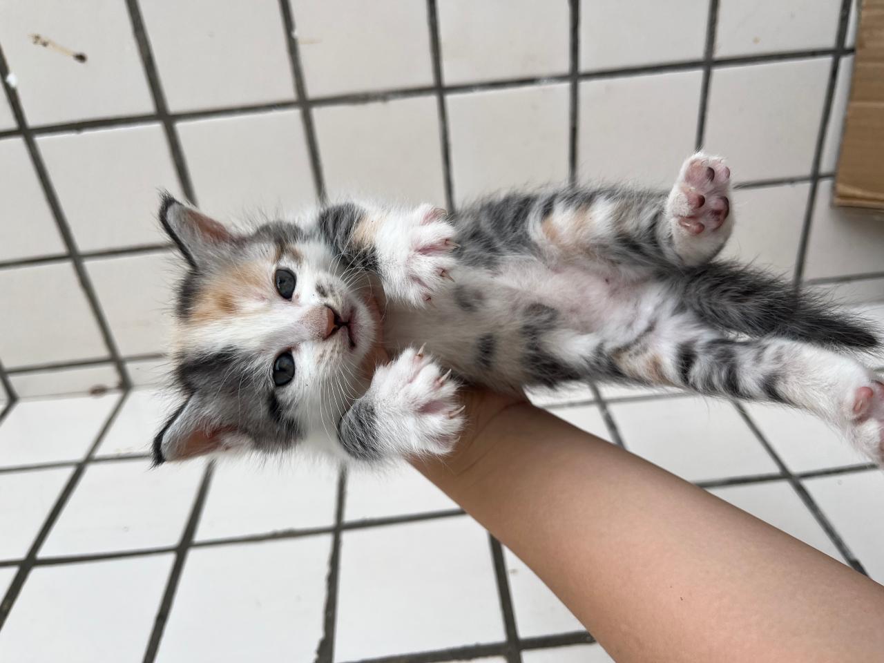 #