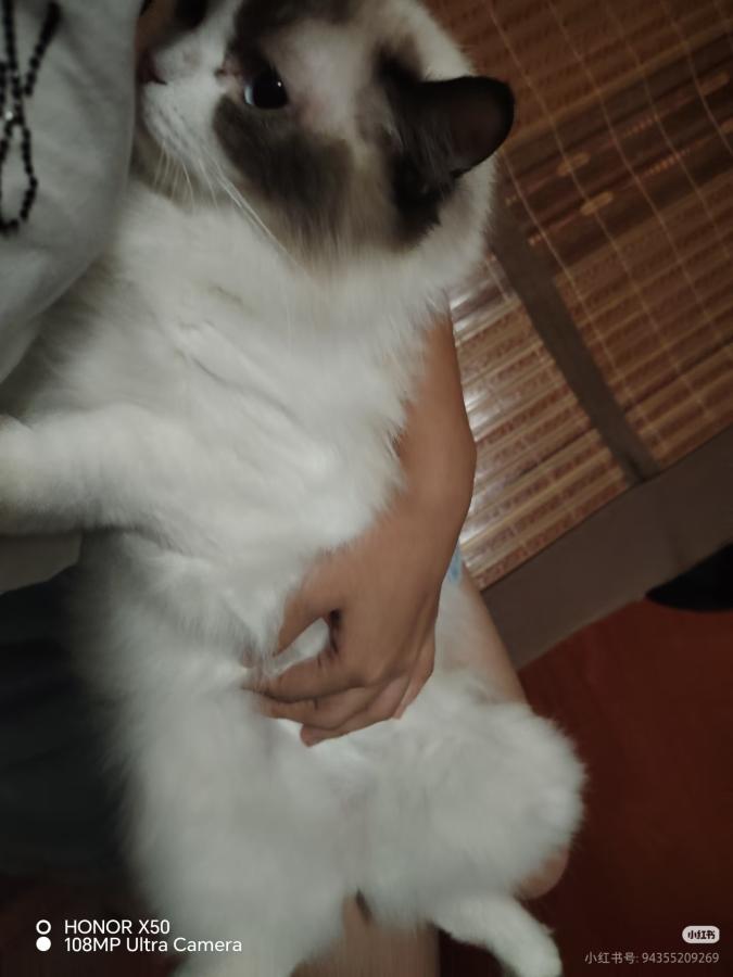 #