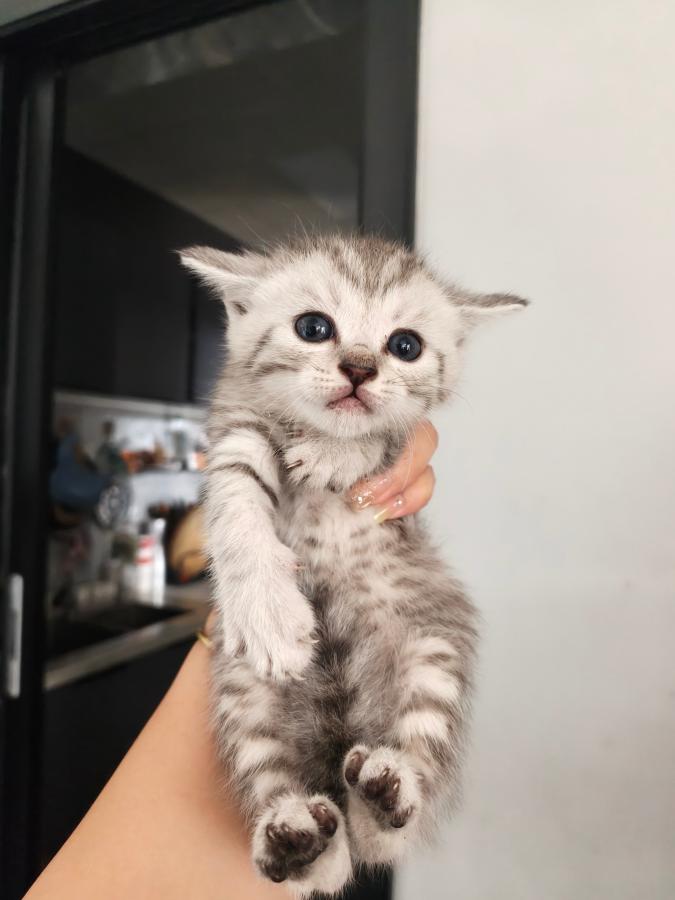 #