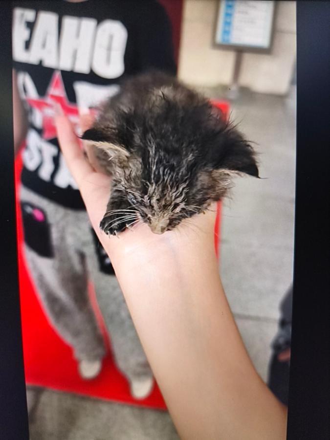 #