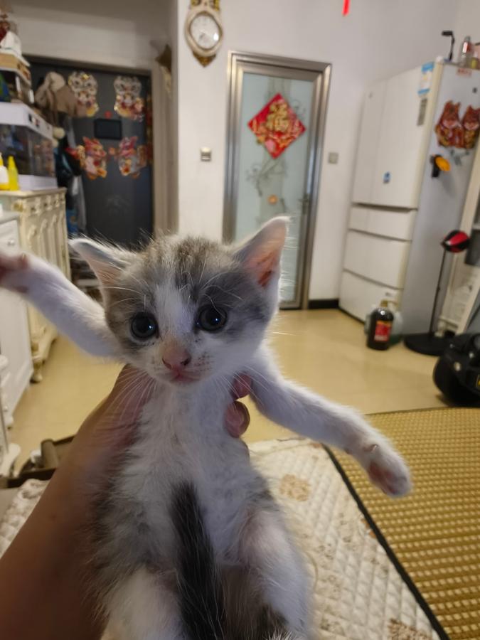 #