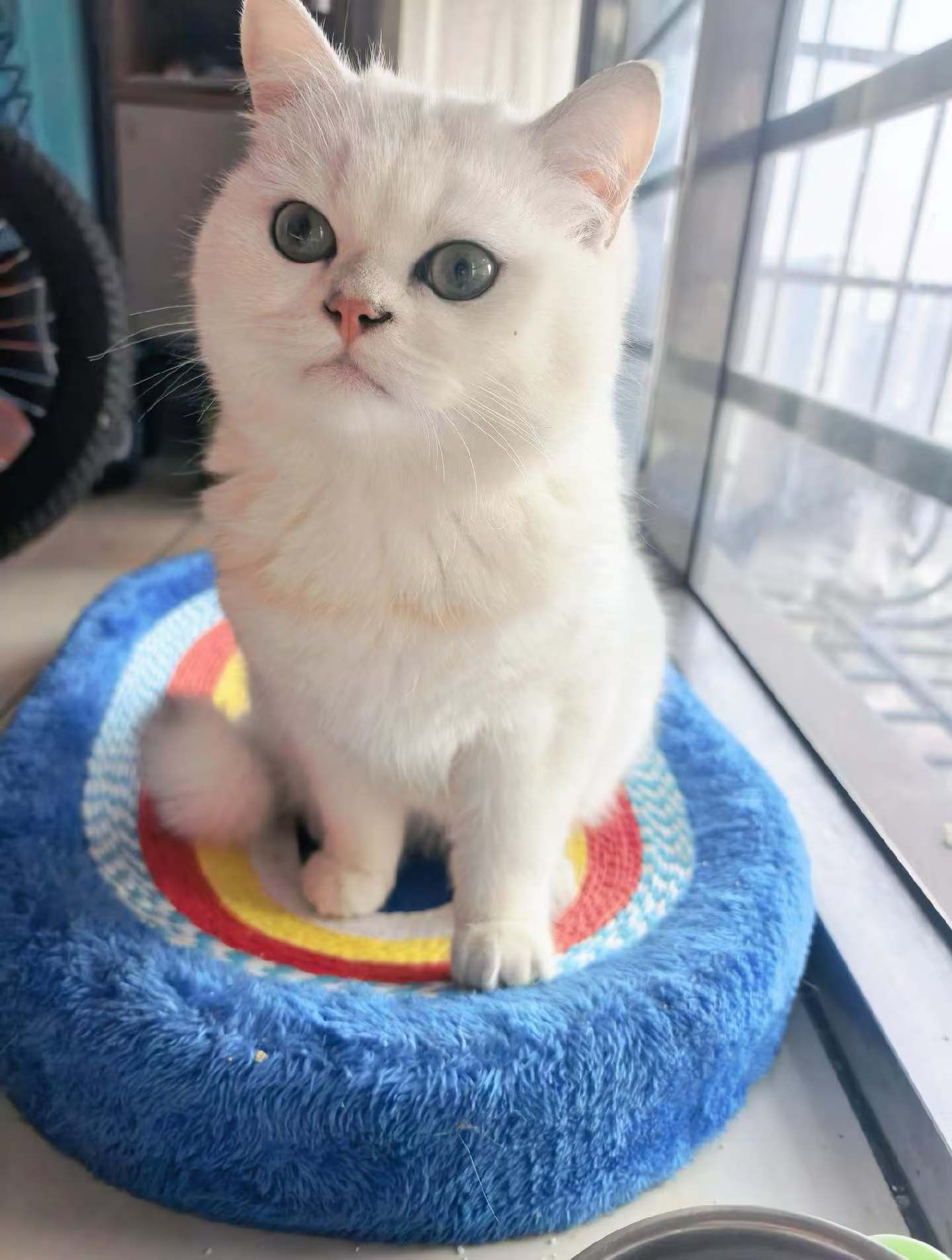 #