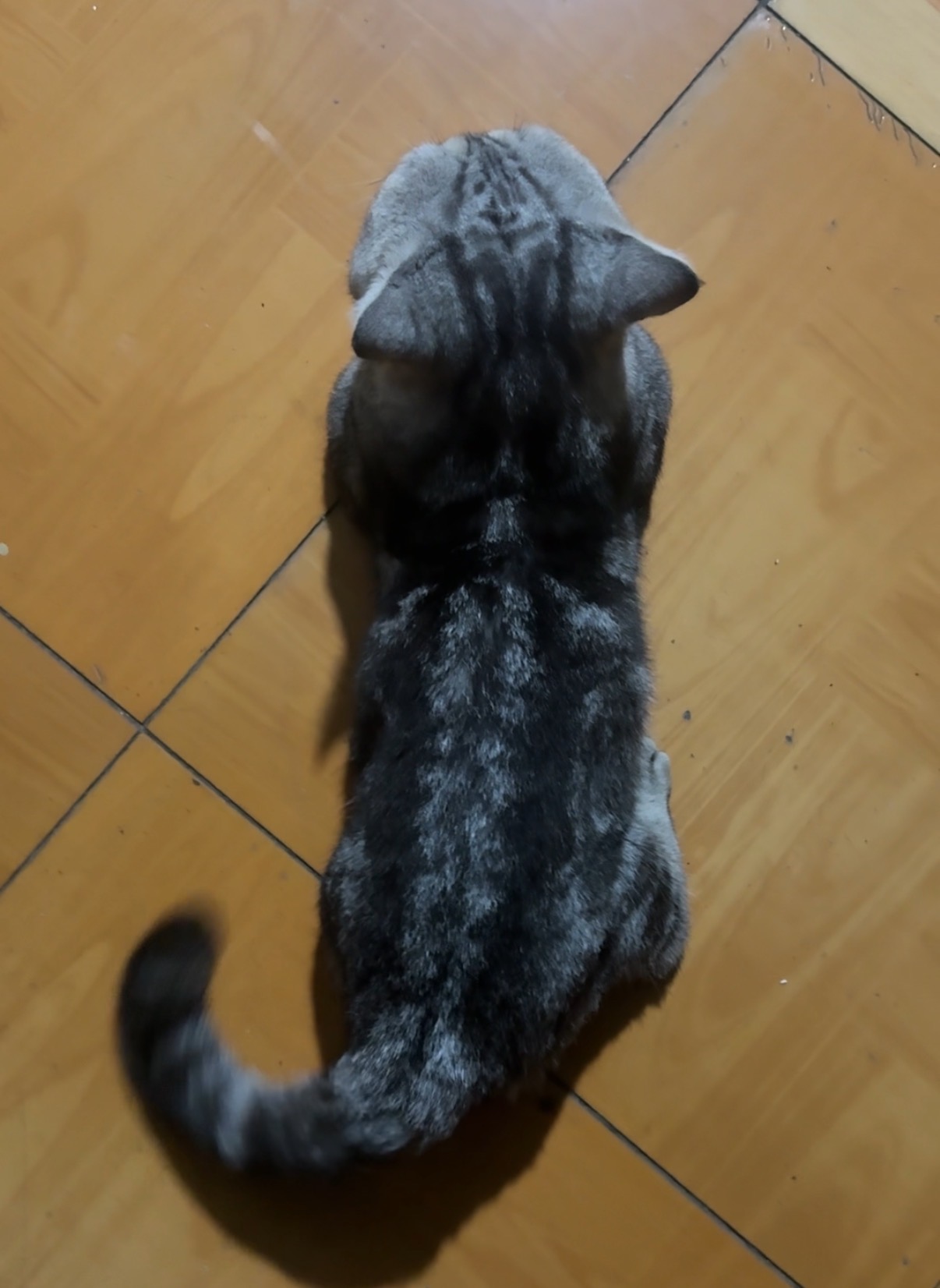 #