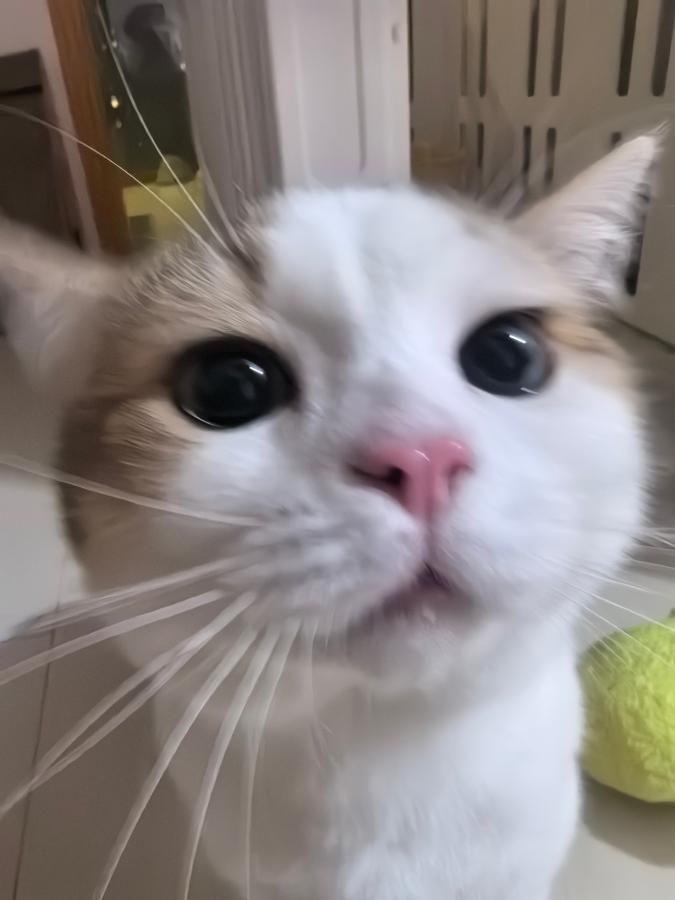 #