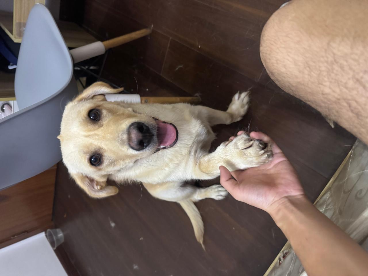 #