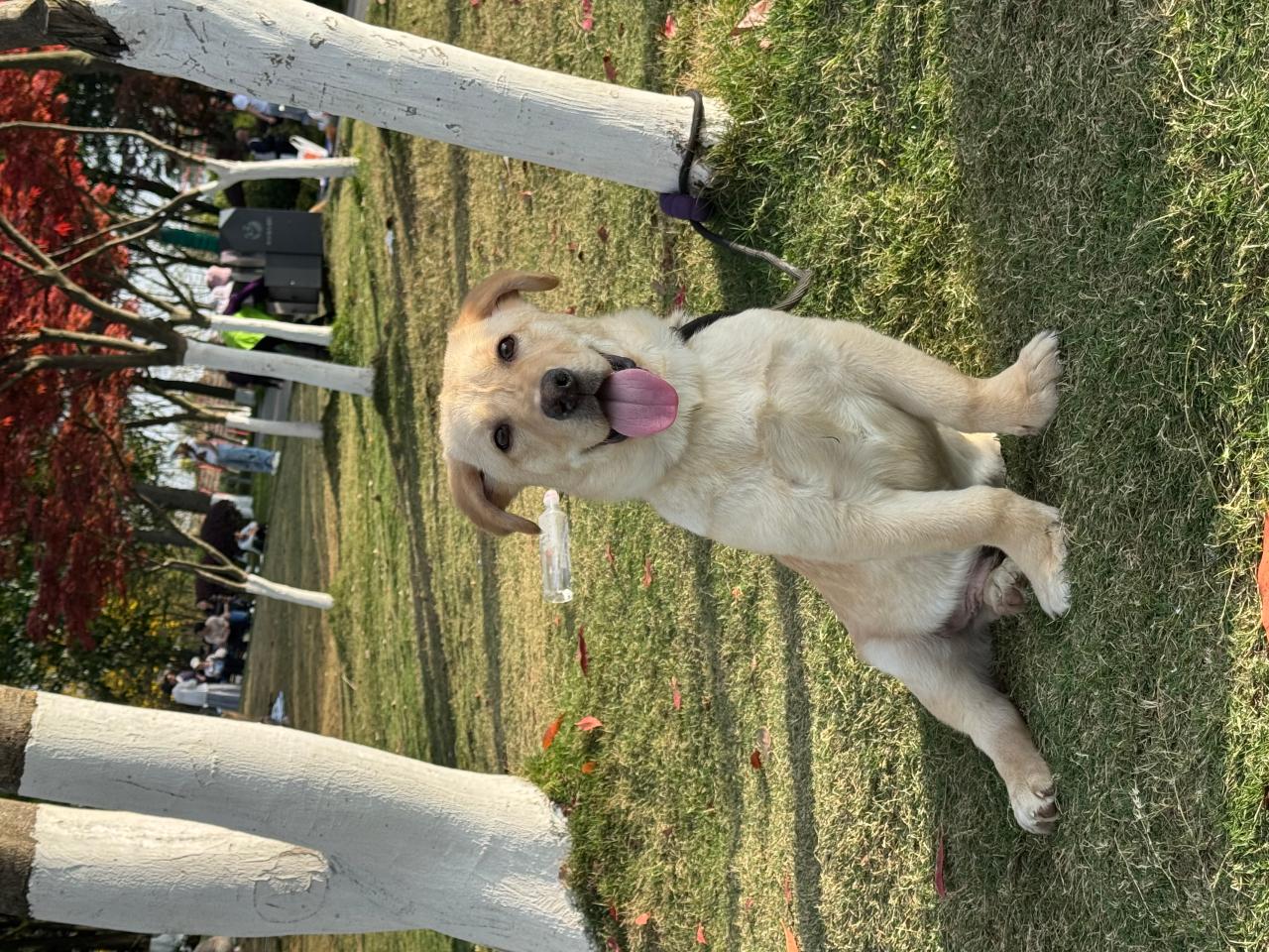 #