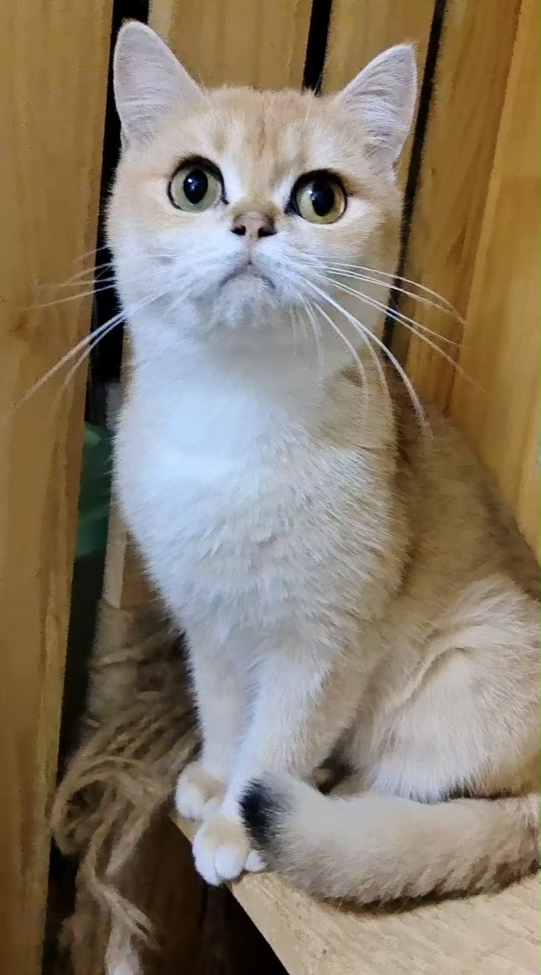 #
