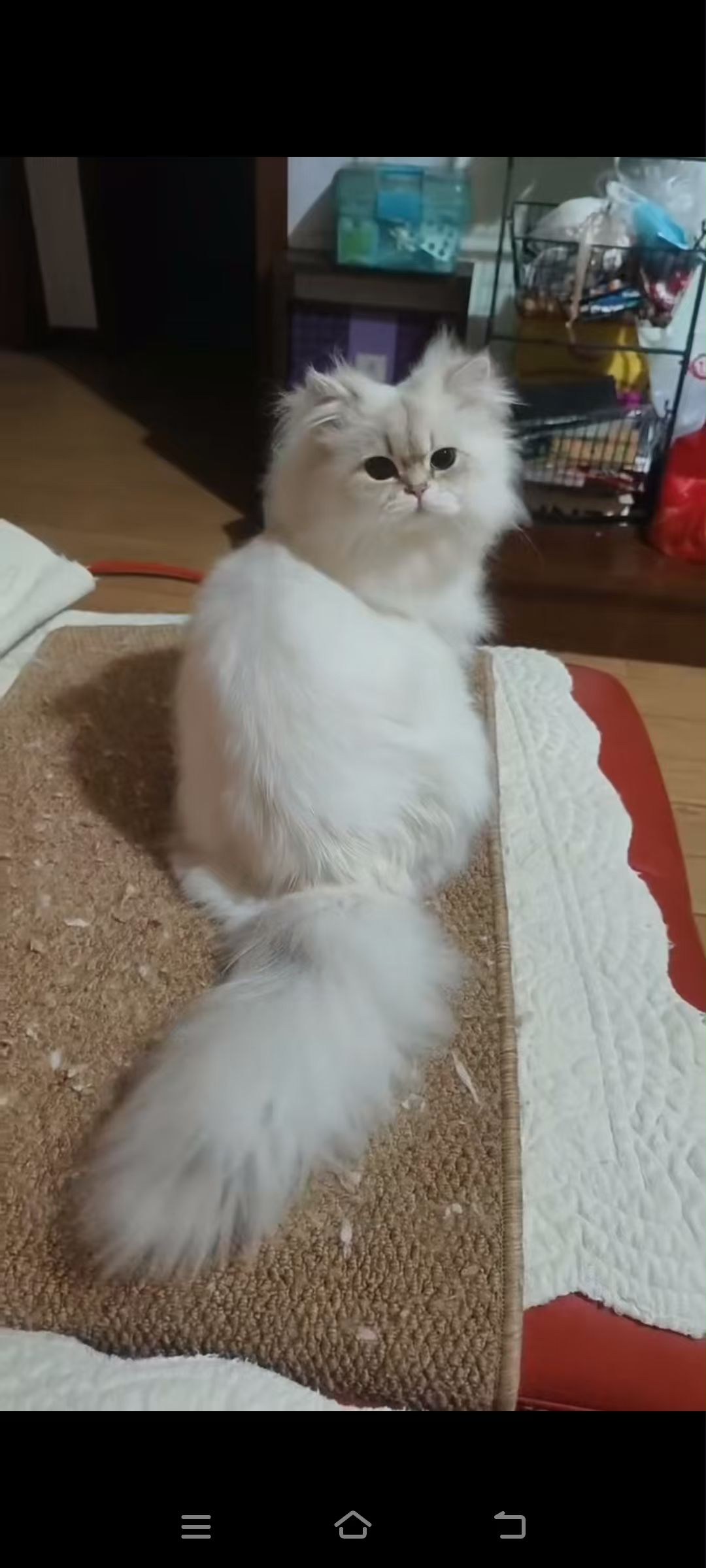 #