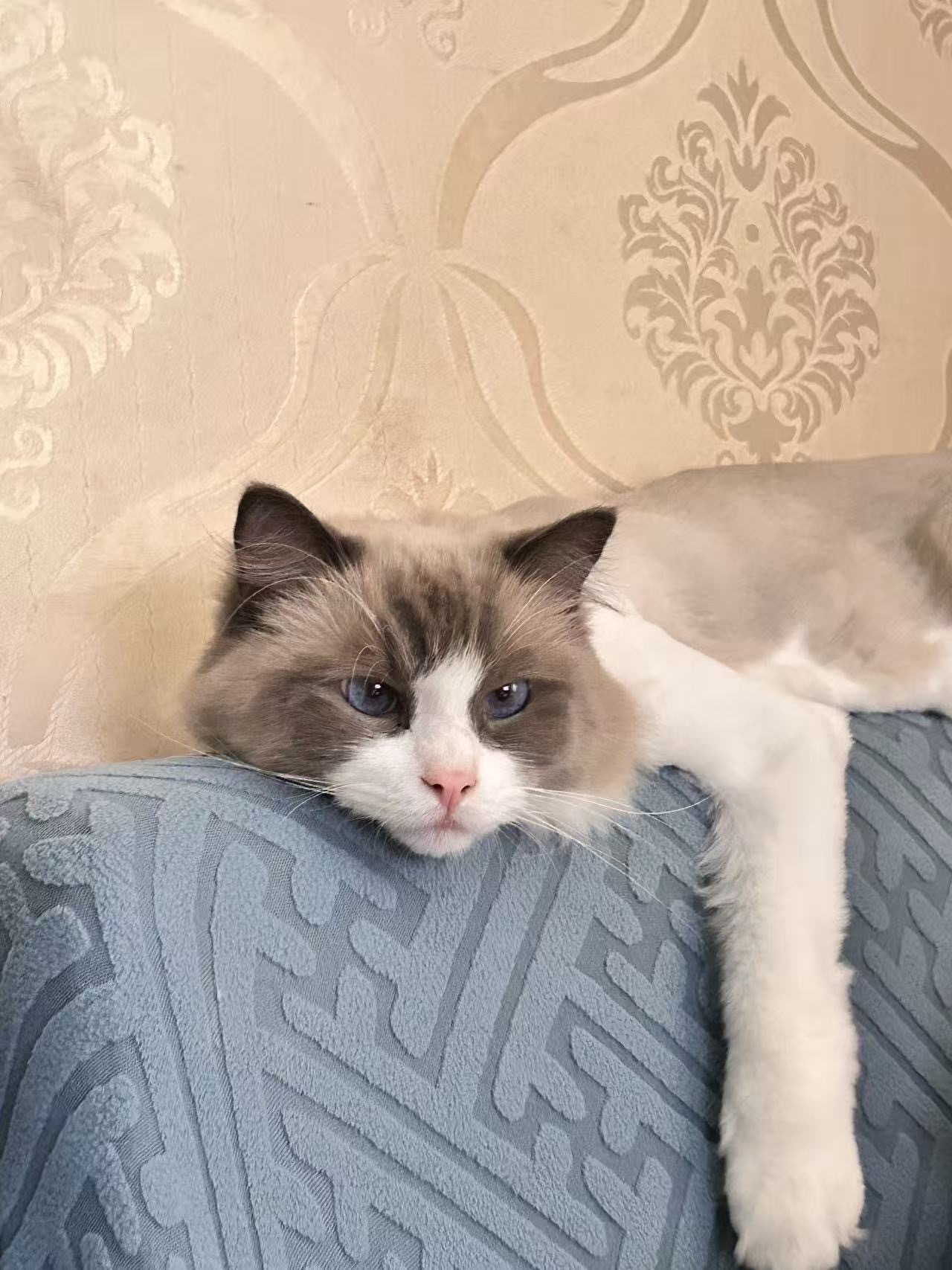 #