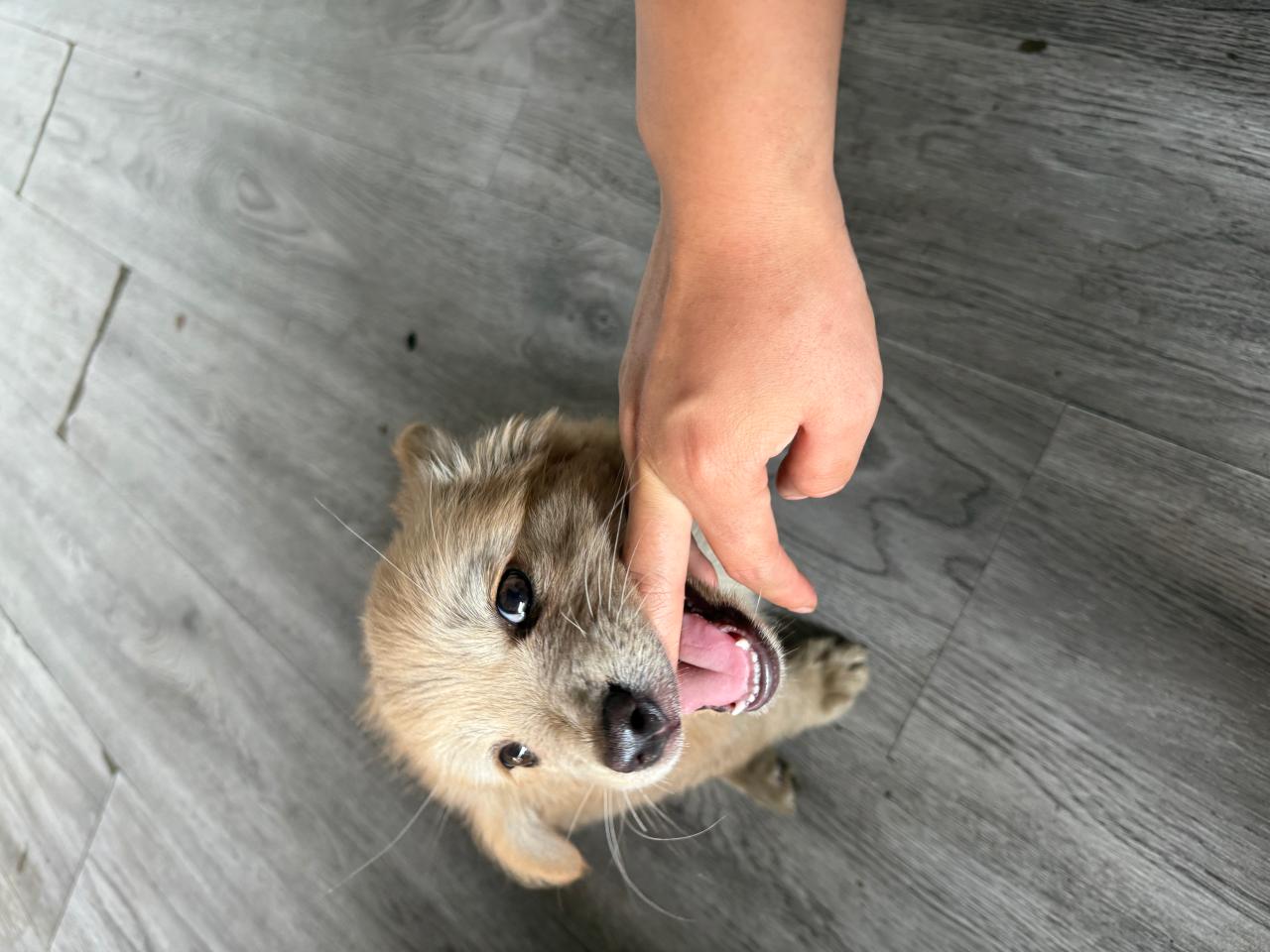 #