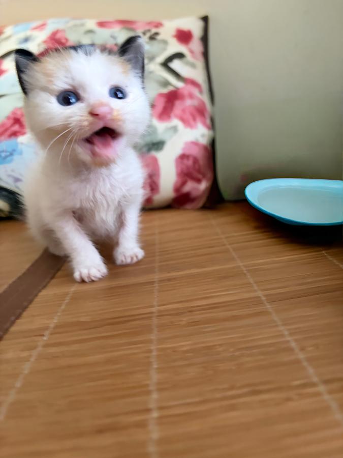 #